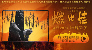 国产精品有码在线观看播放